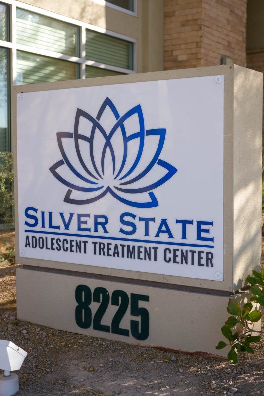 Silver State Logo Outside Angle