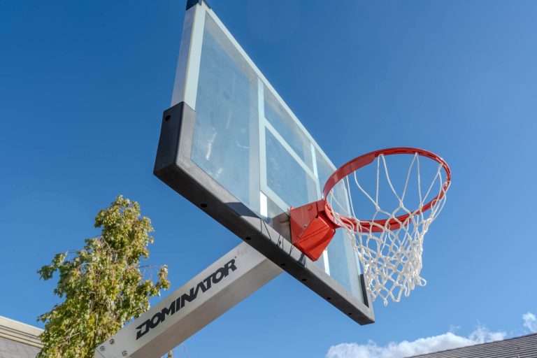 Silver State Adolescent Treatment Basketball Hoop